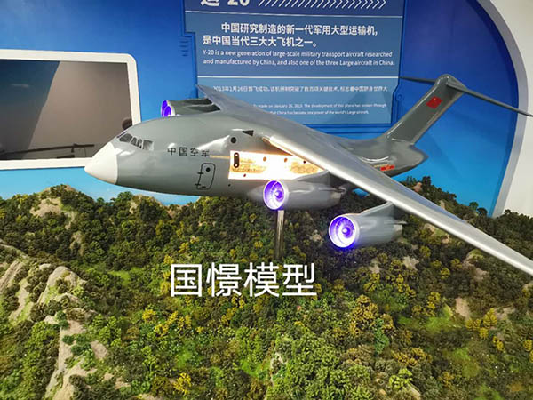 亚东县飞机模型